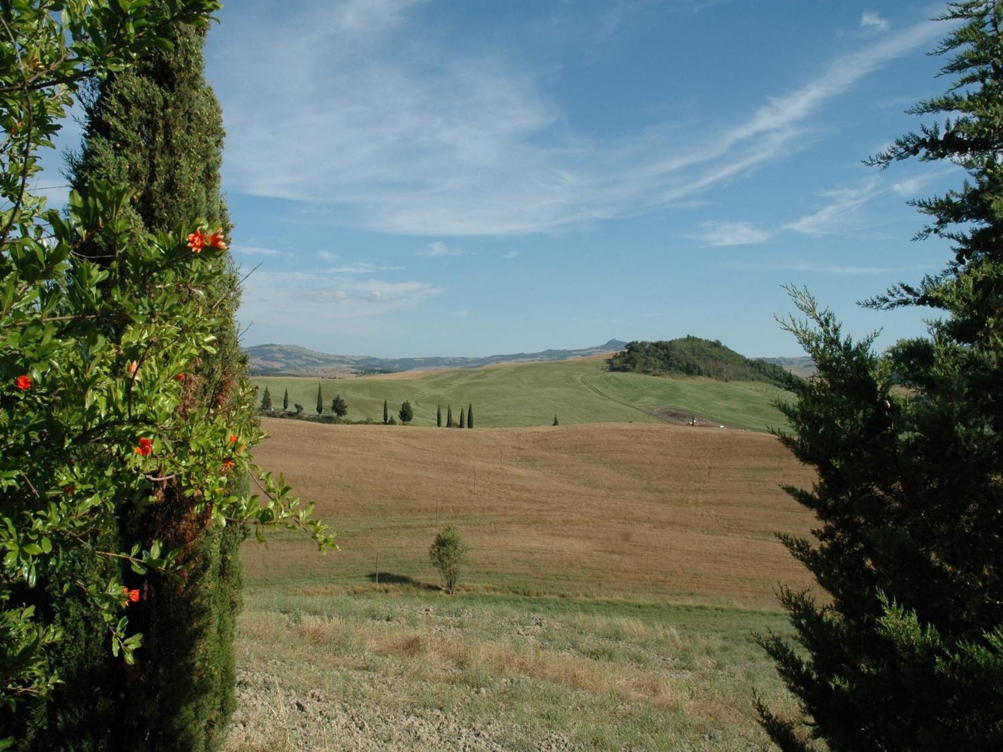 Modern Farmhouse In Pienza With Pool מראה חיצוני תמונה